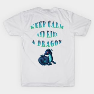 Keep calm and ride a dragon T-Shirt